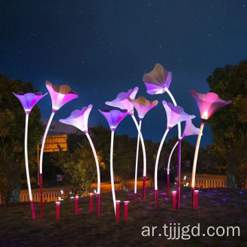 LED Morning Glory على شكل ضوء